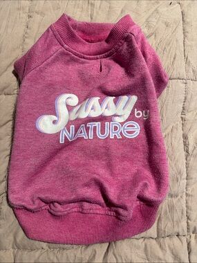 Sassy by Nature Pink Pullover